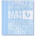 Baby Steps Baby's First Year Album